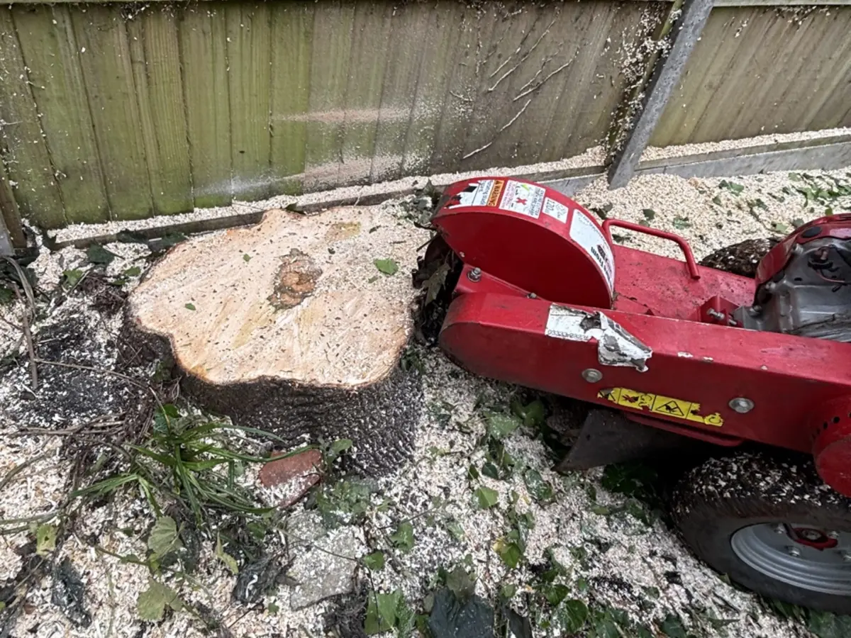 J.B Tree Surgery stump grinder working beside a freshly cut stump