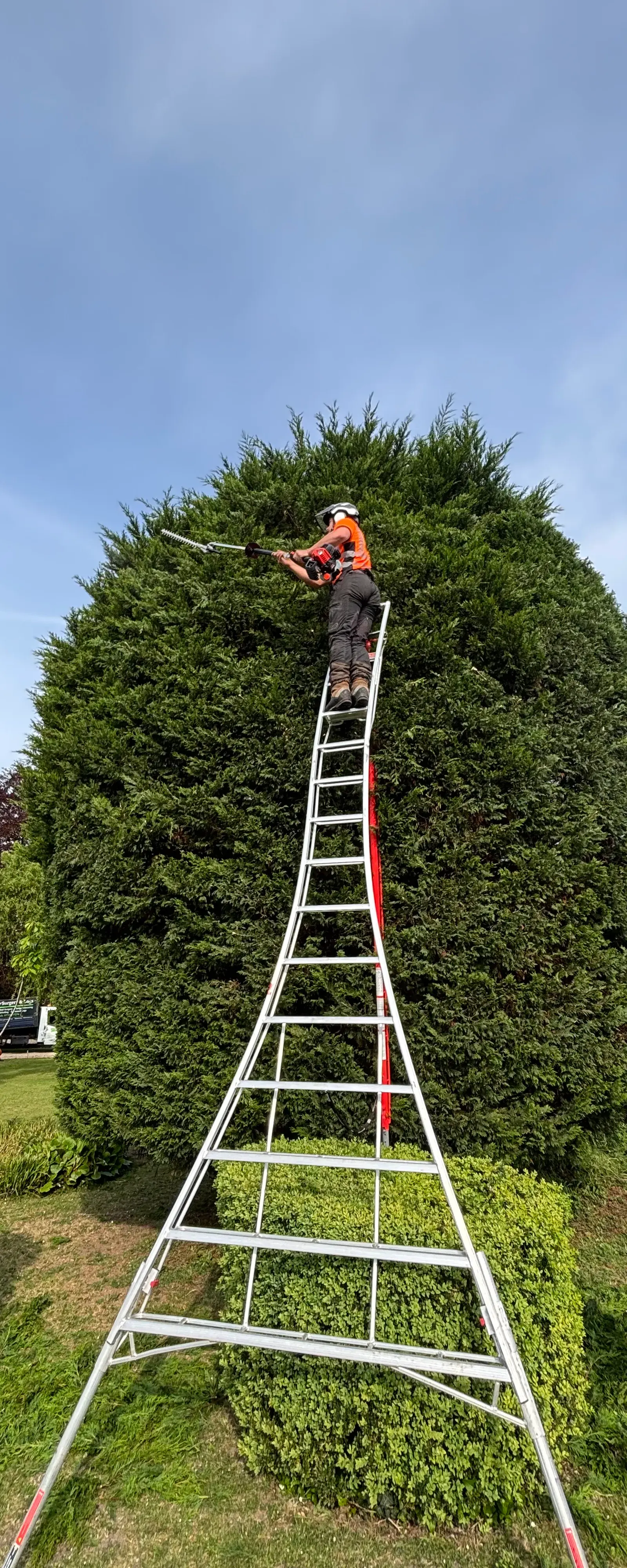 Tree surgeon trimming a tall conifer hedge from professional access equipment
