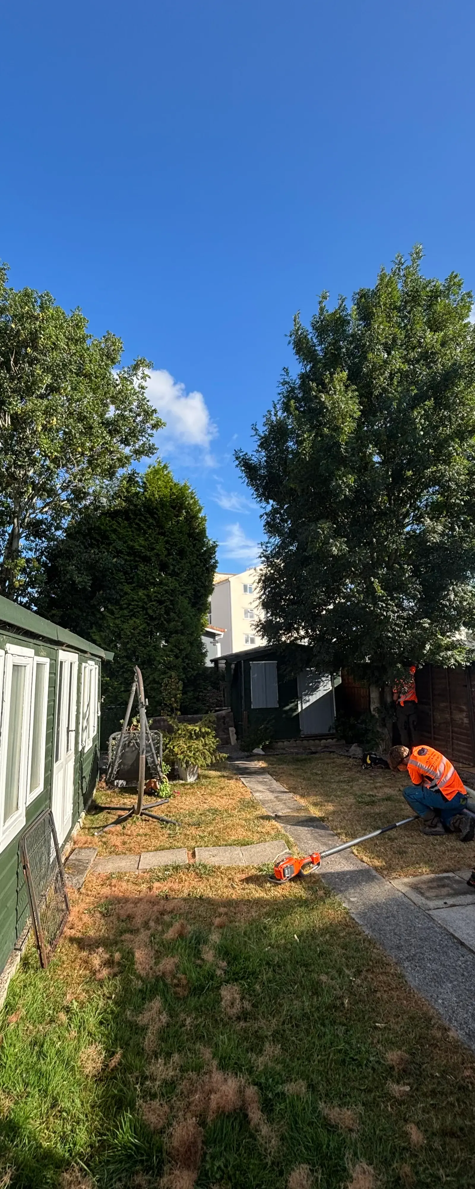 Garden clearance work alongside a green outbuilding